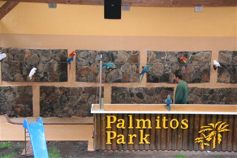 Palmitos Park (C) ZoleX